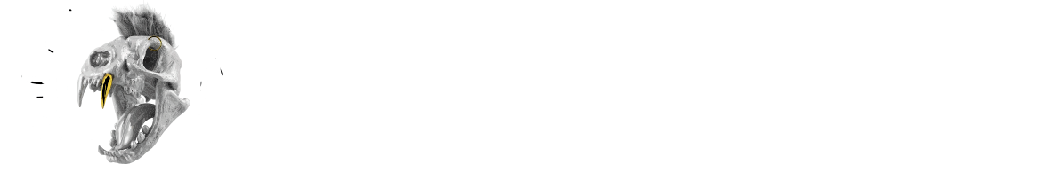 Zoomad Labs ITALIA