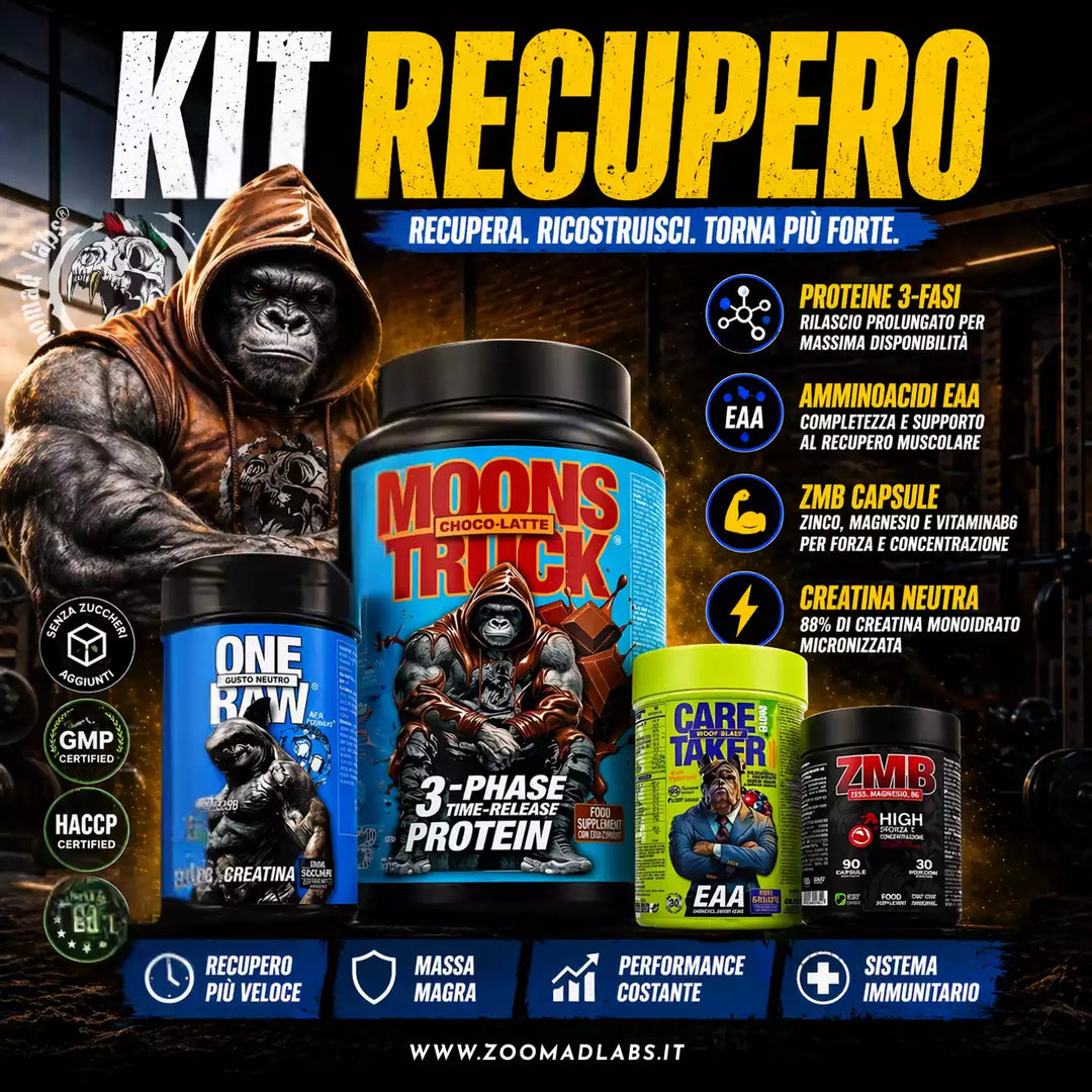 Kit Recupero Zoomad Labs