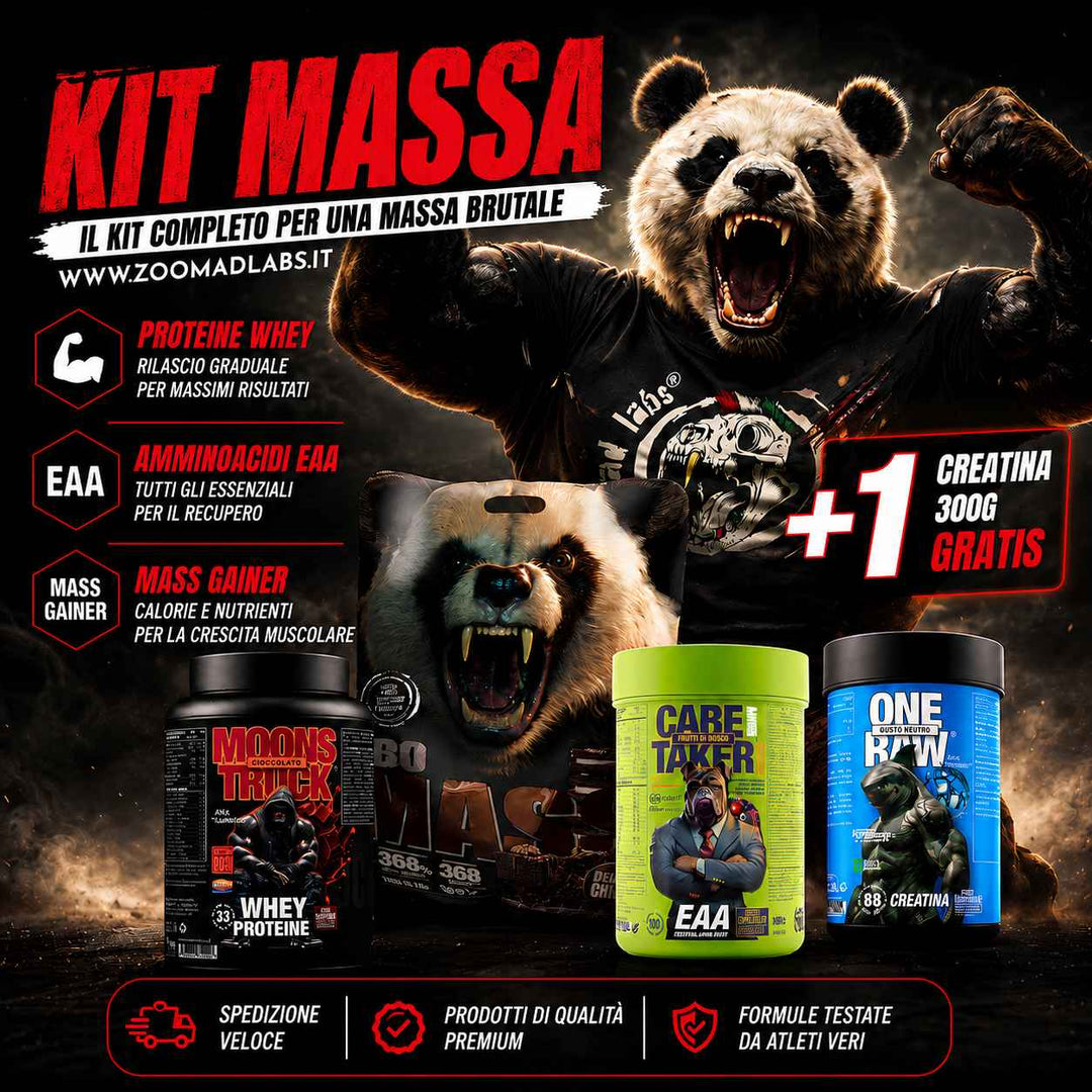 KIT MASSA